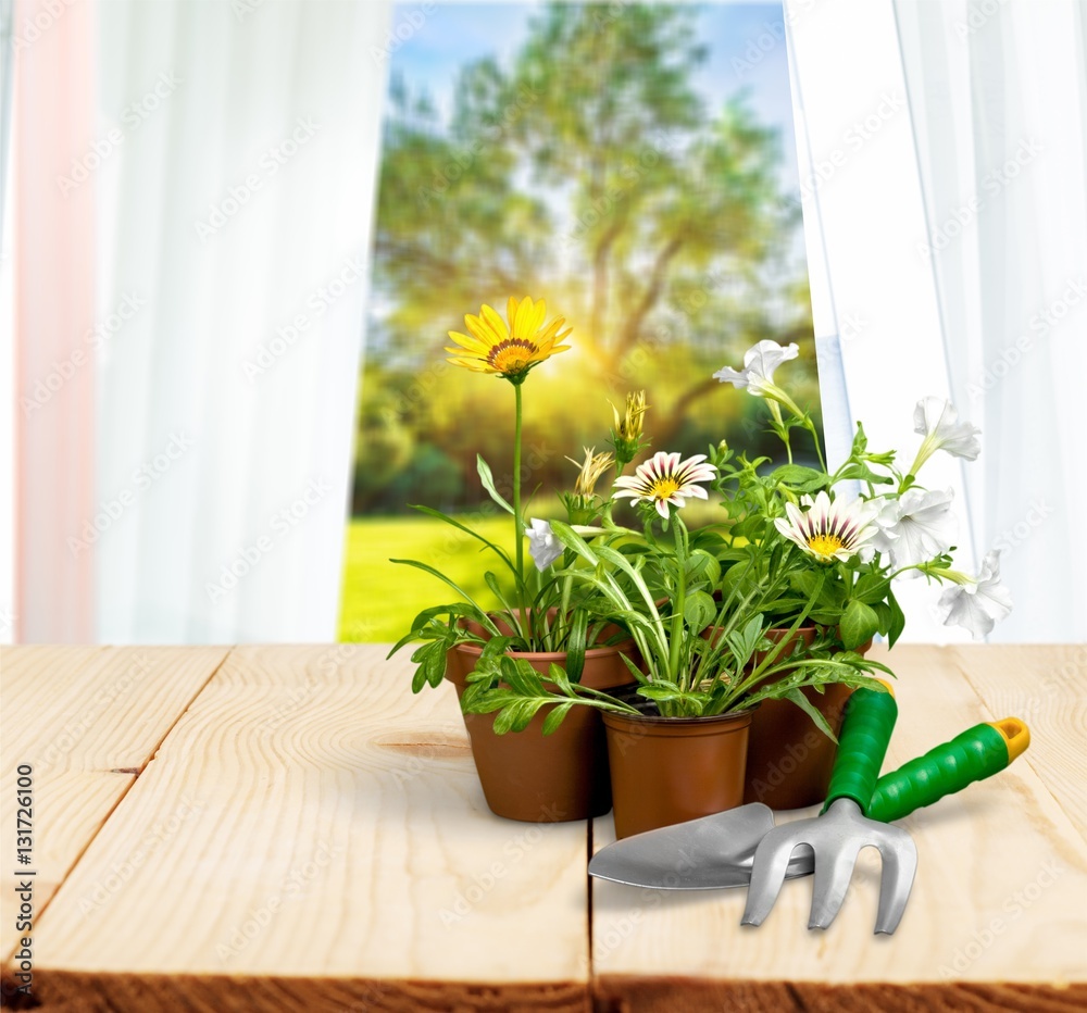 Gardening equipment.