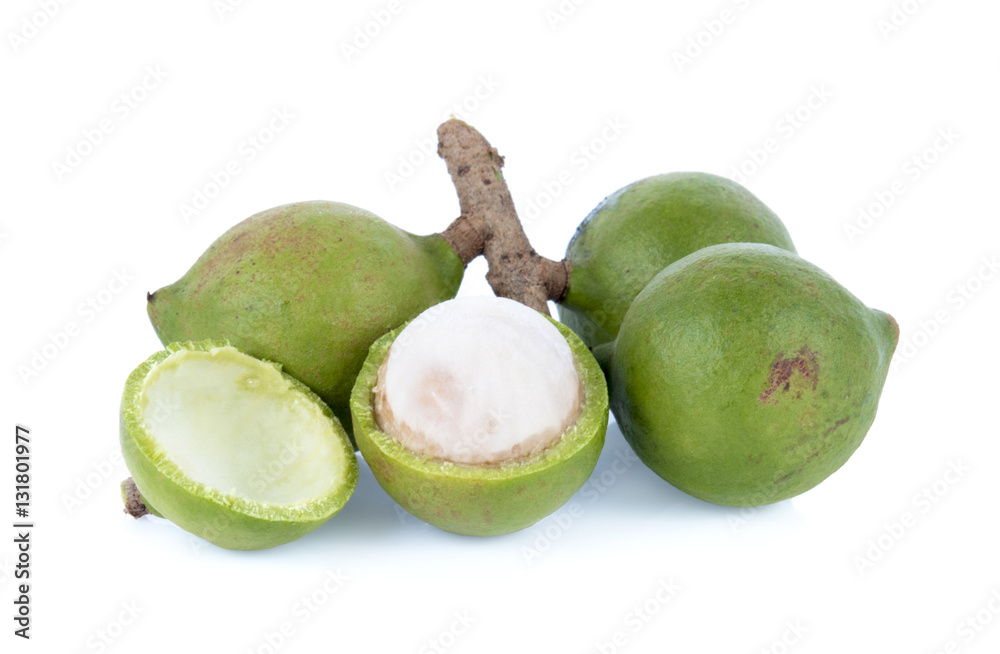 fresh macadamia nut on a white background