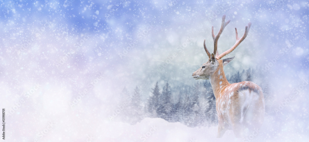 Winter background with deer