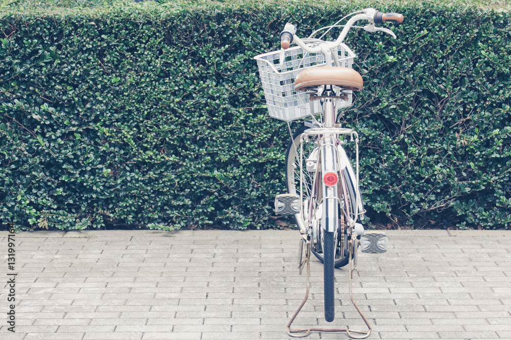 One bicycle at bicycle parking in public green park