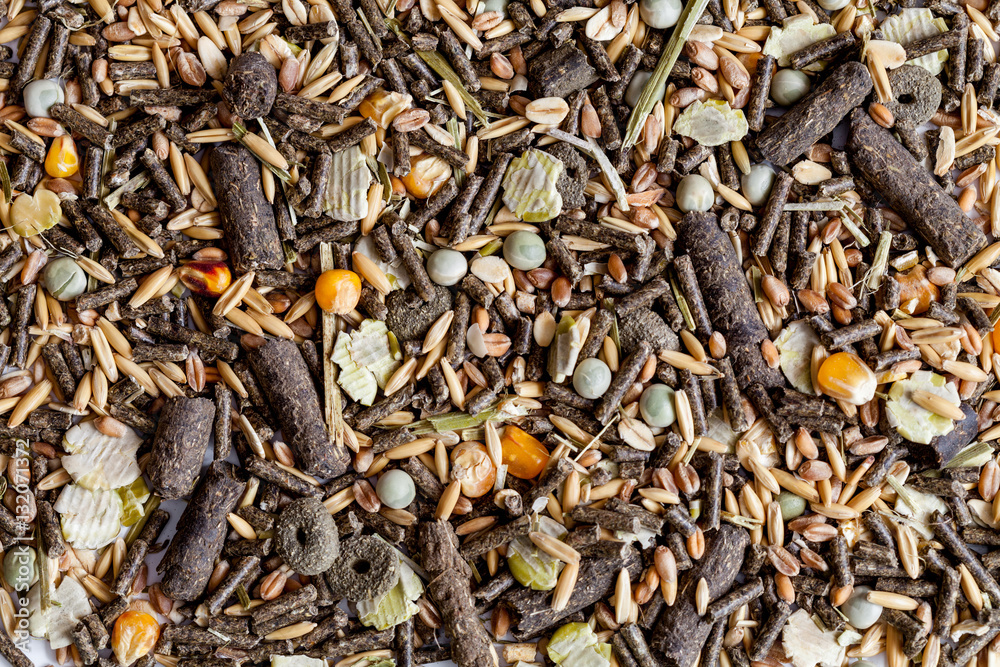 dry food for rodents close up top view