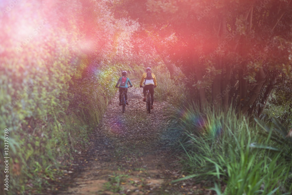 Rear view of biker couple cycling in countryside