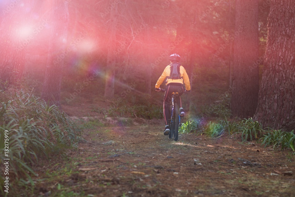 Rear view of female biker cycling in countryside