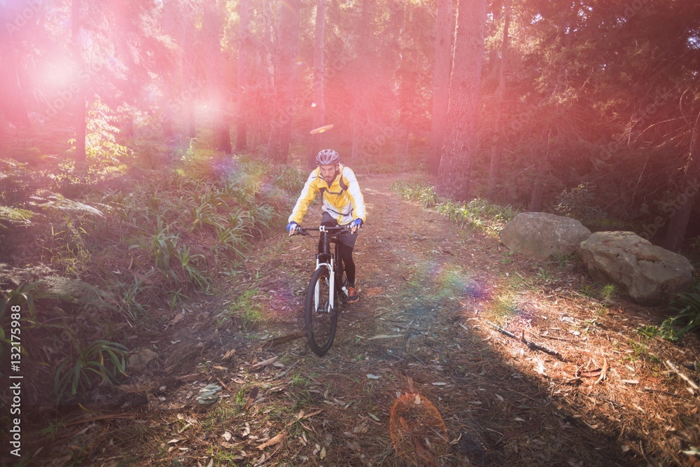 Male biker cycling in countryside