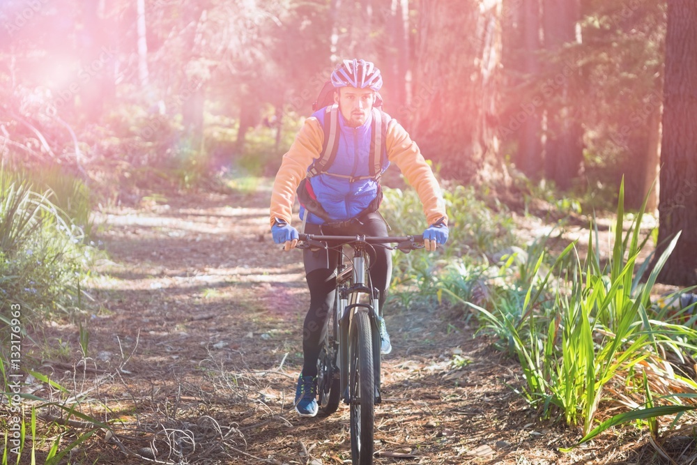 Male mountain biker riding bicycle in forest