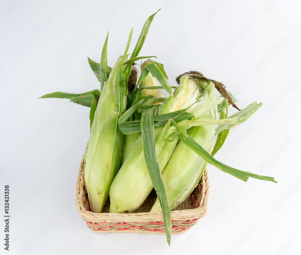 Corn on white background