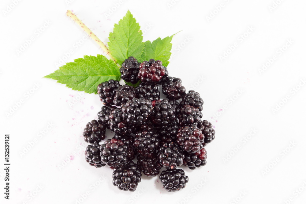 blackberries and green leaves