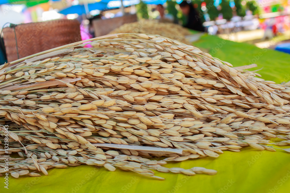 Ears of rice rice on a table paddy