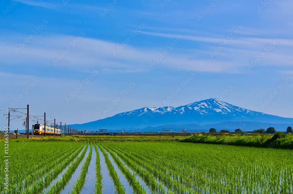 初夏の鳥海山