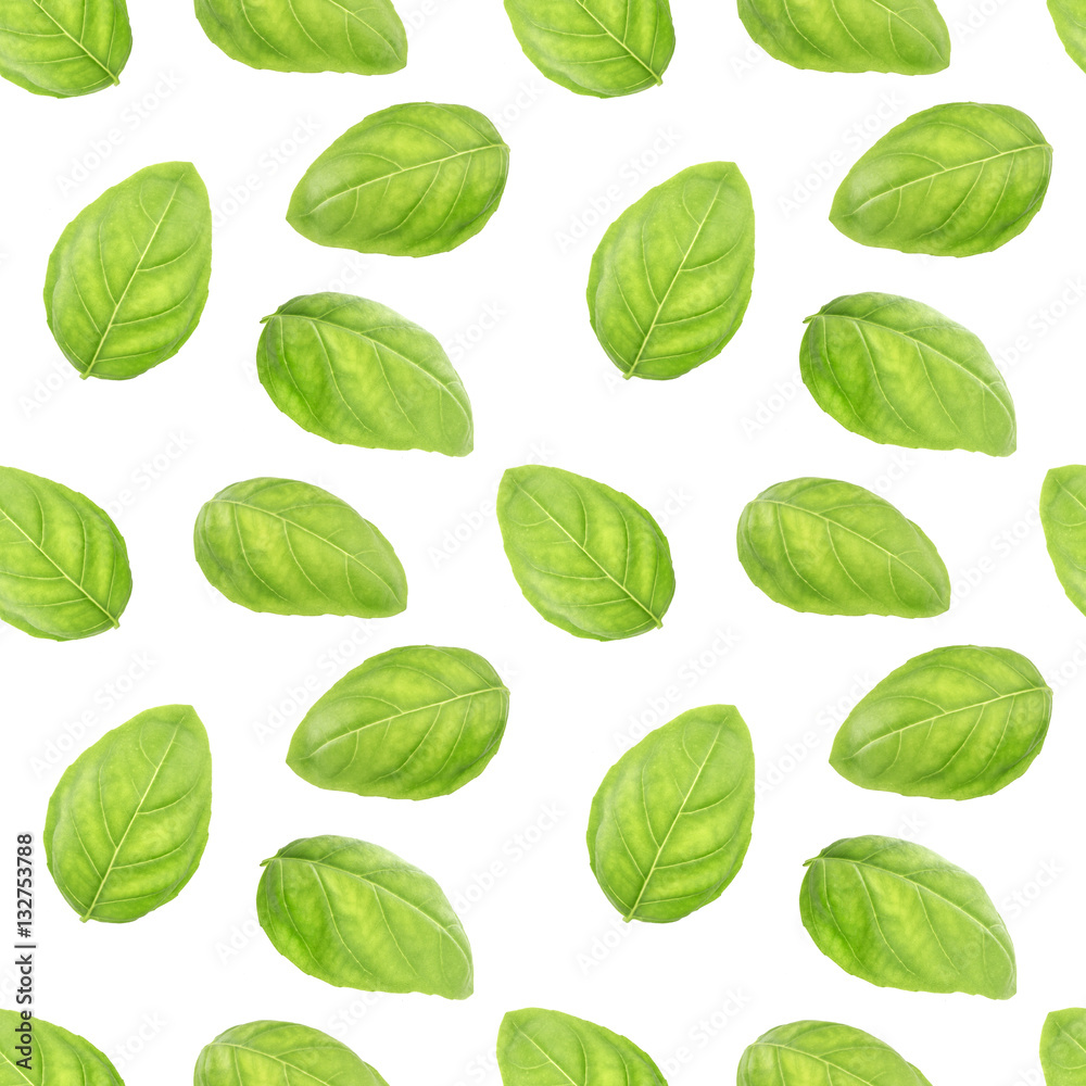 Basil leaf herb seamless pattern