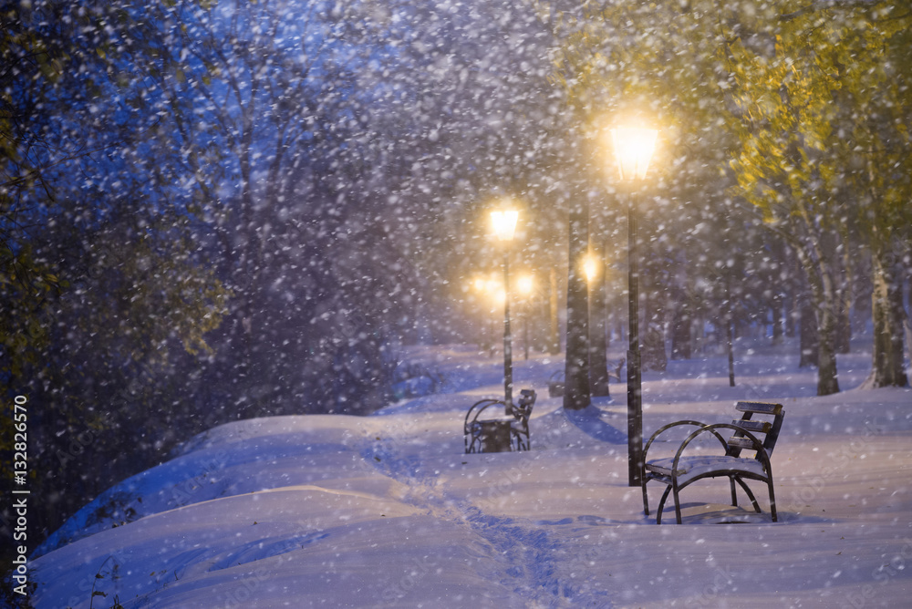 Fluffy snow is in evening in park.