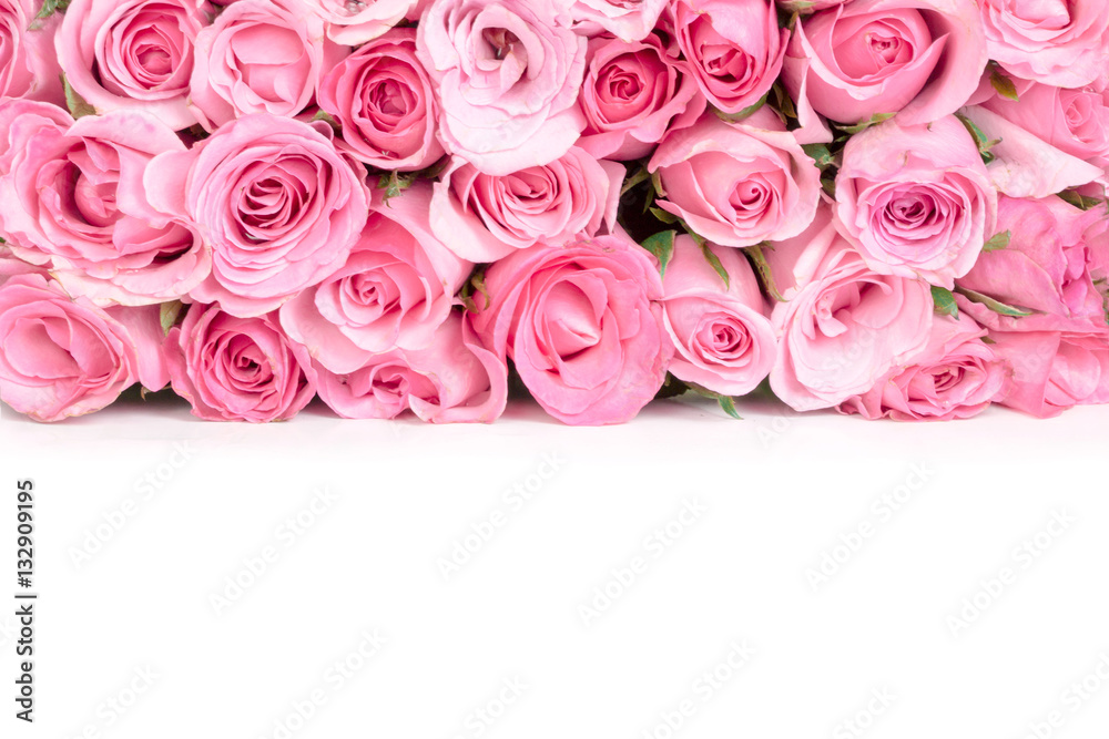 border of Beautiful fresh sweet pink rose for love romantic vale