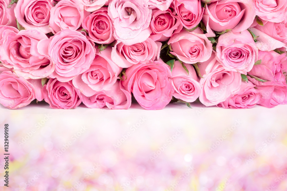 border of Beautiful fresh sweet pink rose for love romantic vale