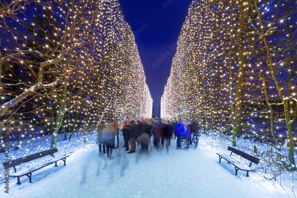 Beautiful illumination at public park of Gdansk, Poland