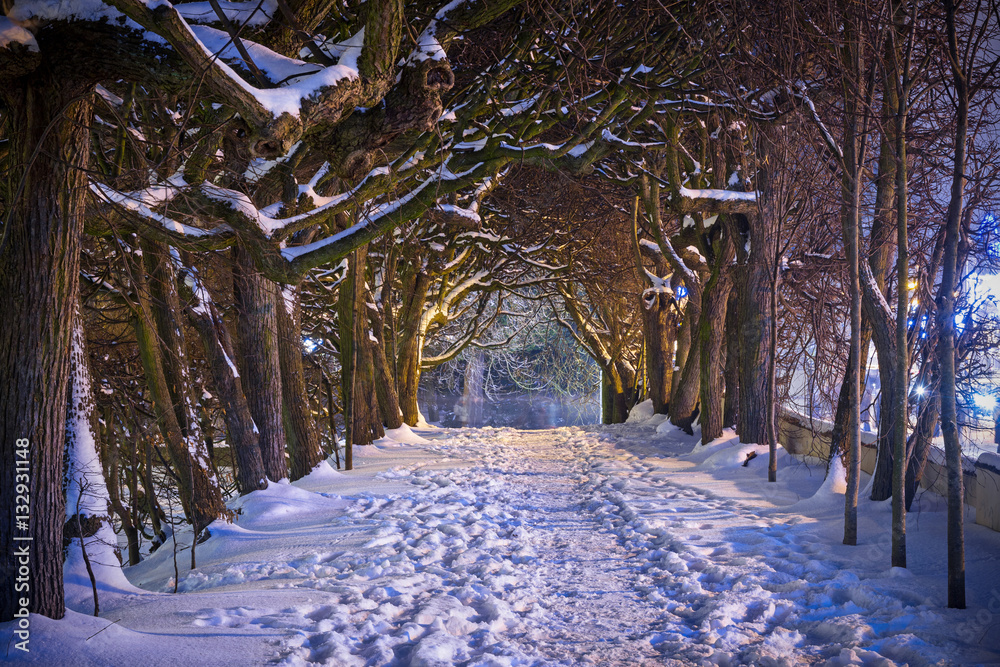 Winter scenery in snowy park of Gdansk, Poland