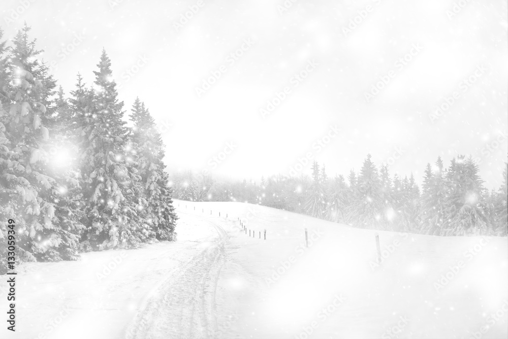 Cold winter snowy day at countryside landscape with hiking path.