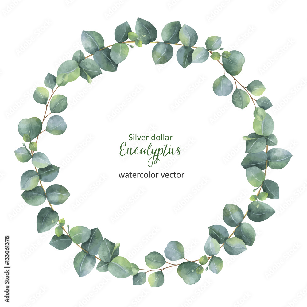 Watercolor vector round wreath with silver dollar eucalyptus.