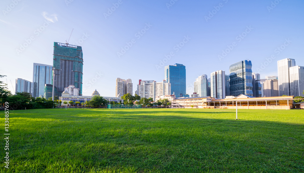 grassland green field with trees and buildings cityscape