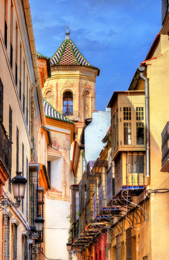 Street in historical center of Malaga - Spain