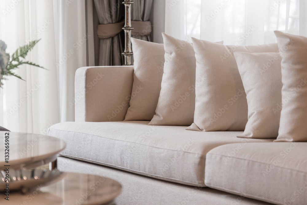 contemporary interior of Living room with part of sofa in sunny