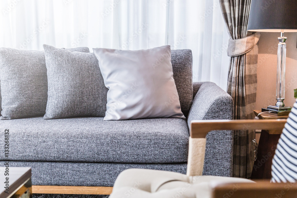 contemporary interior of Living room with part of sofa in sunny