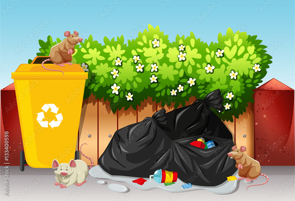 Scene with trash bags and rats