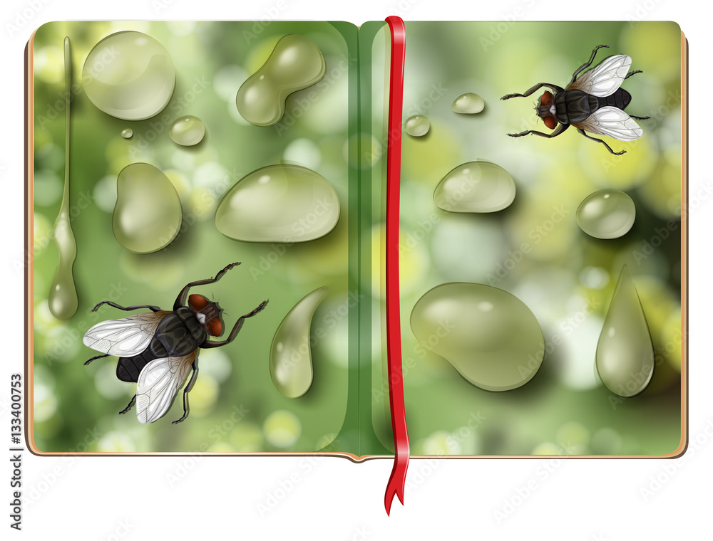 Houseflies and water drops in the book