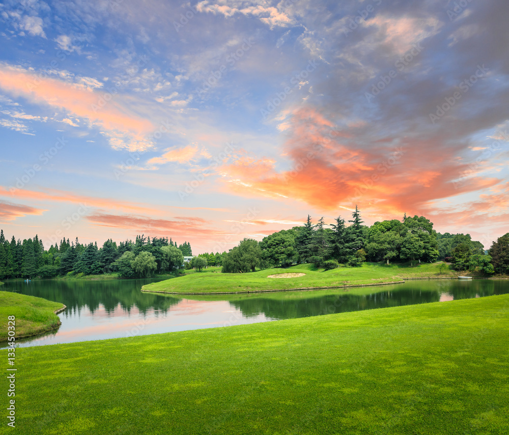 field of green grass at sunset