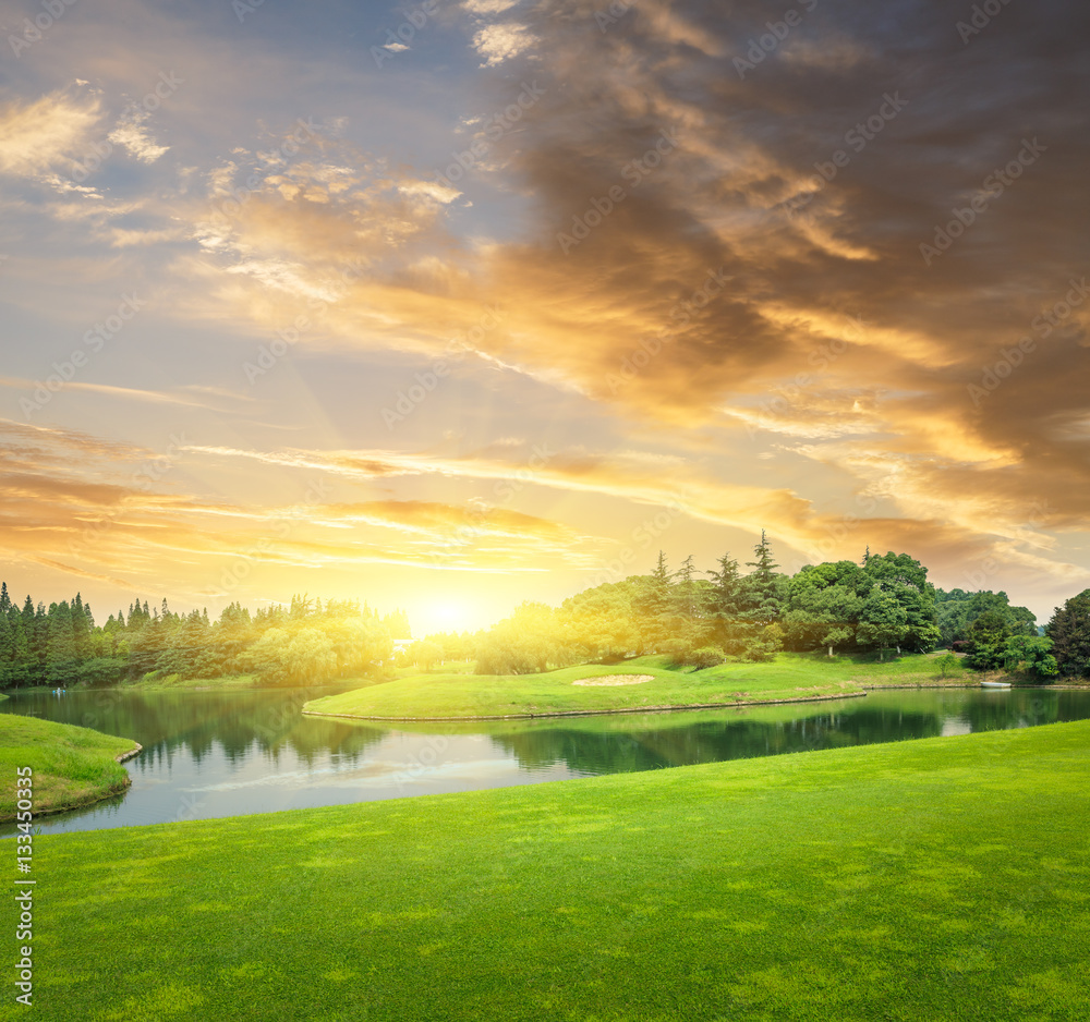 field of green grass at sunset