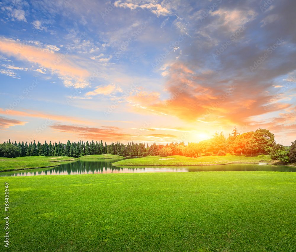 field of green grass at sunset