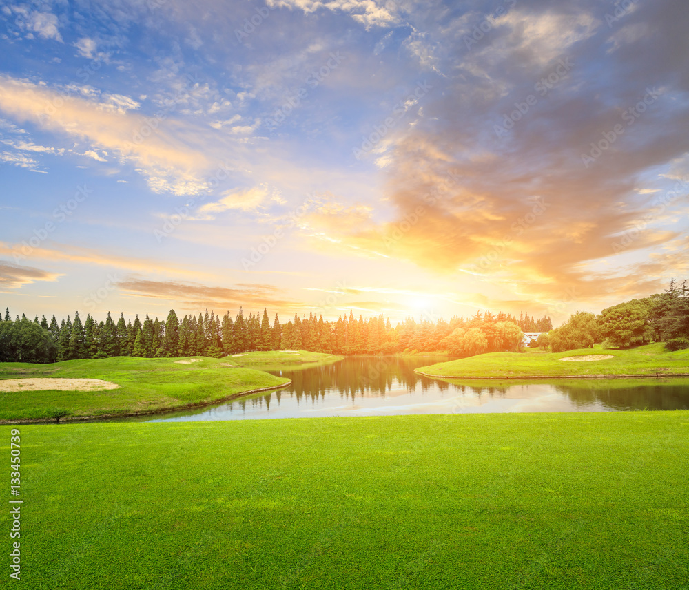 field of green grass at sunset