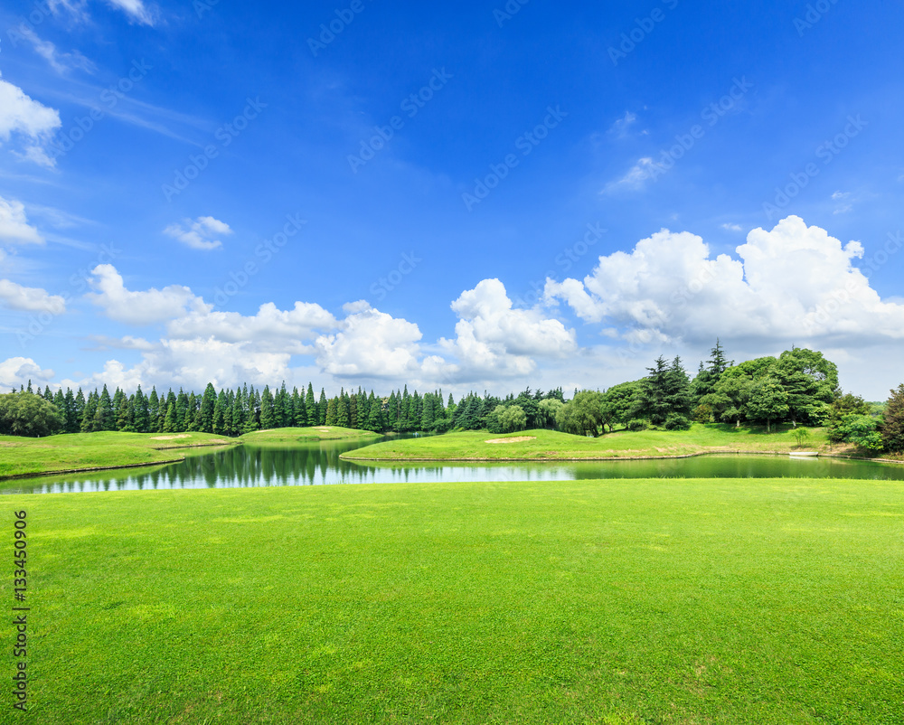 field of green grass and blue sky in summer day