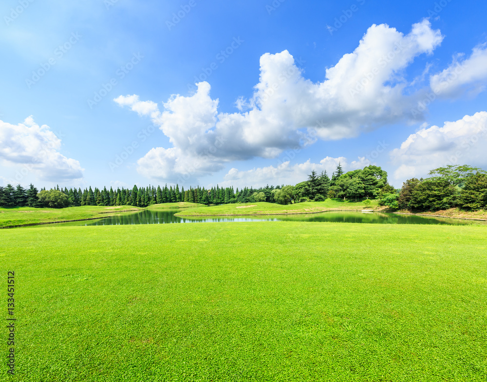 field of green grass and blue sky in summer day