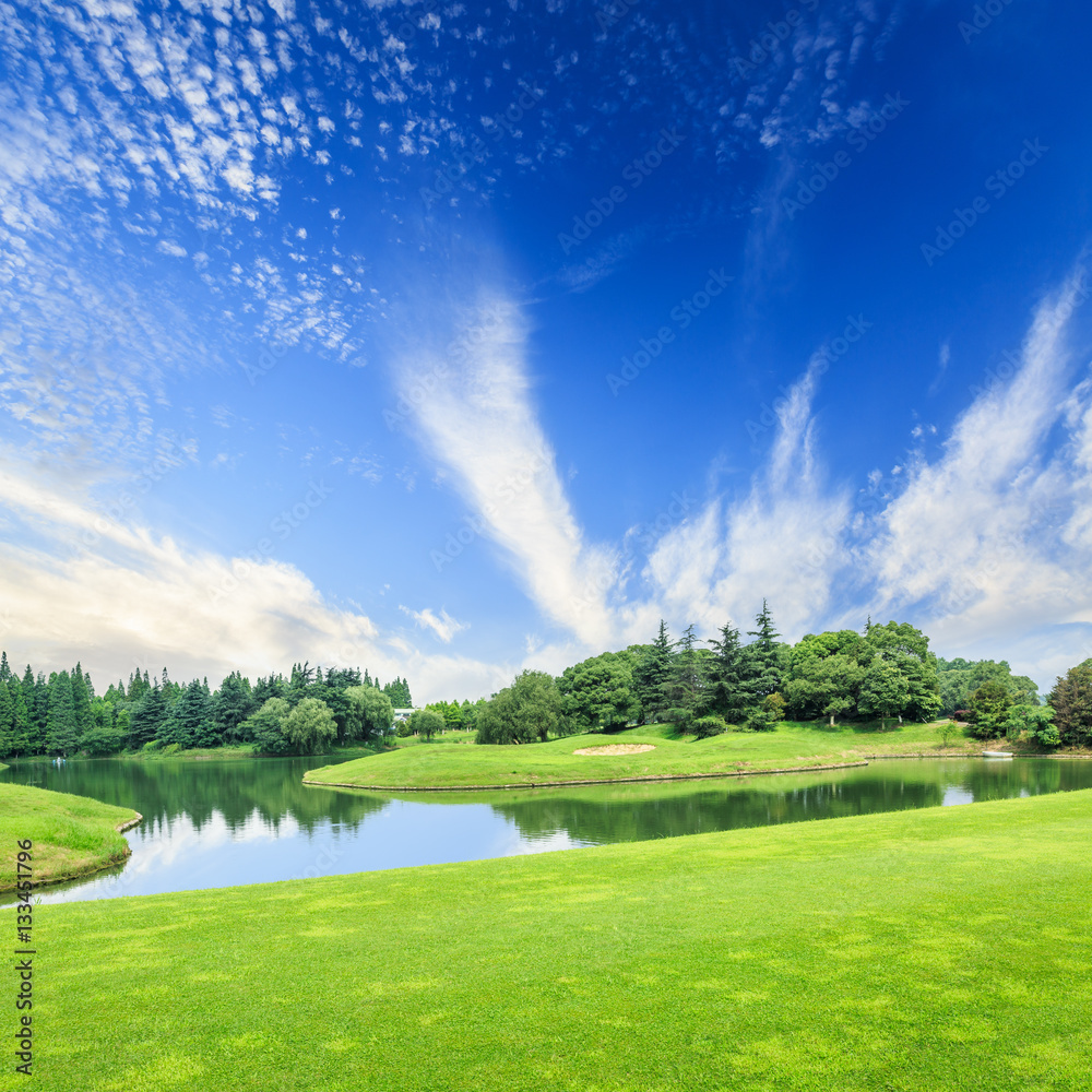 field of green grass and blue sky in summer day