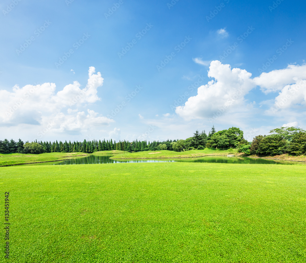 field of green grass and blue sky in summer day