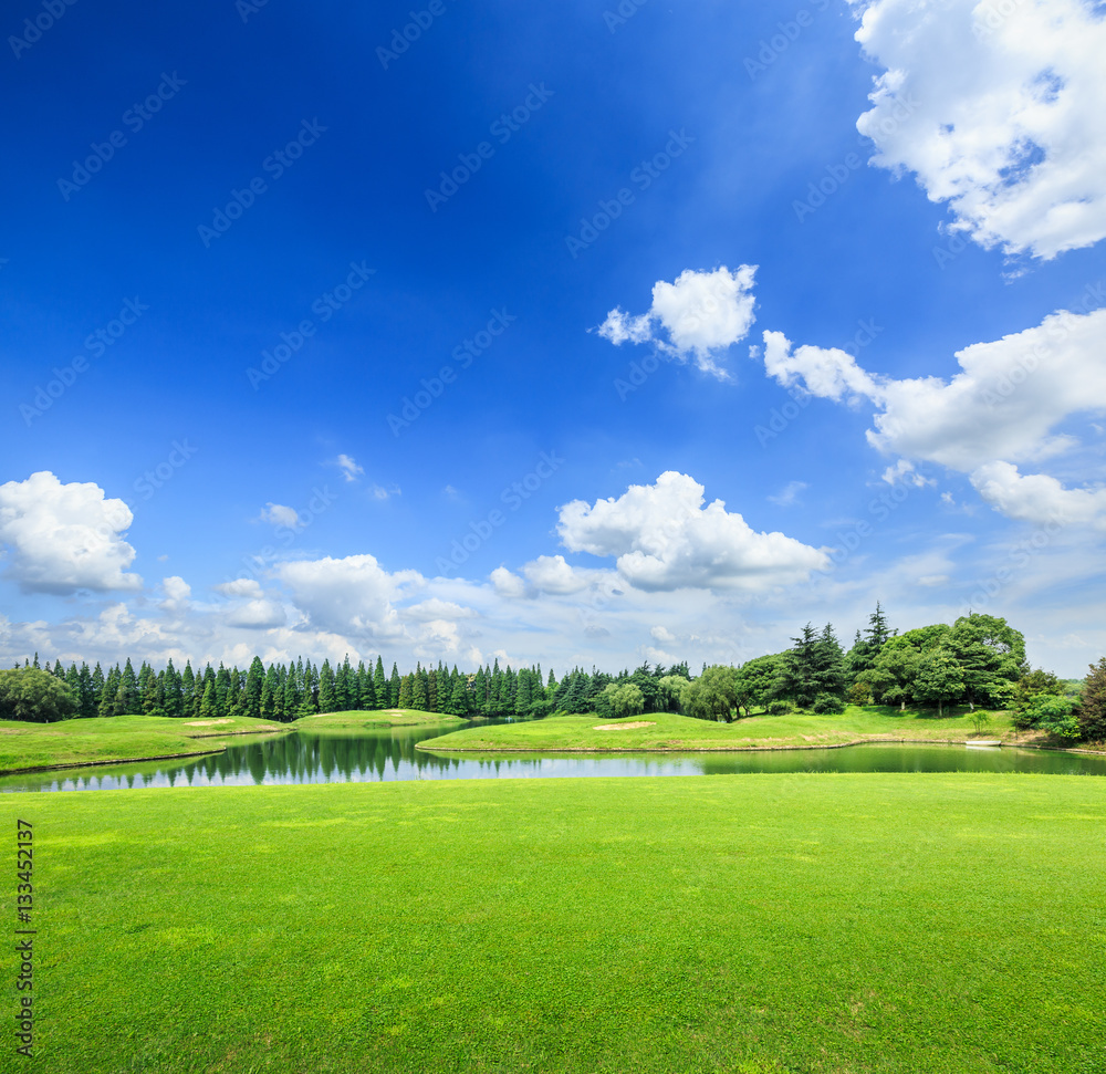 field of green grass and blue sky in summer day