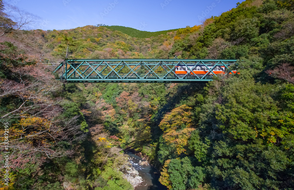 日本箱根市秋季铁路桥和火车的美丽山景