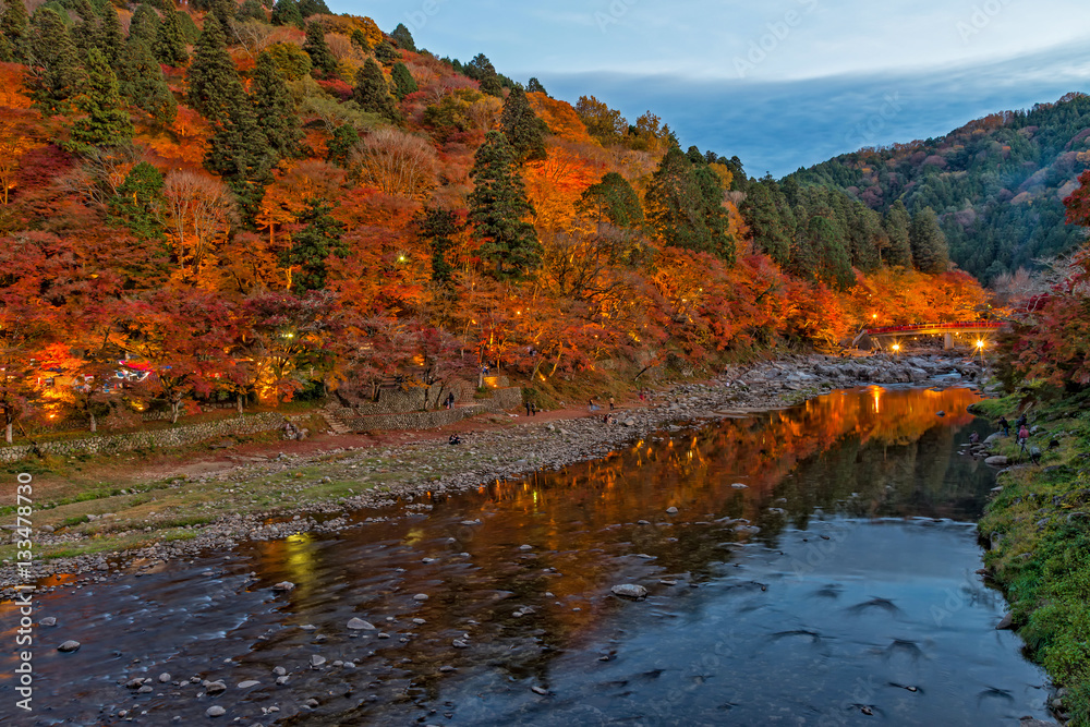 Korankei light up festival in autumn season.