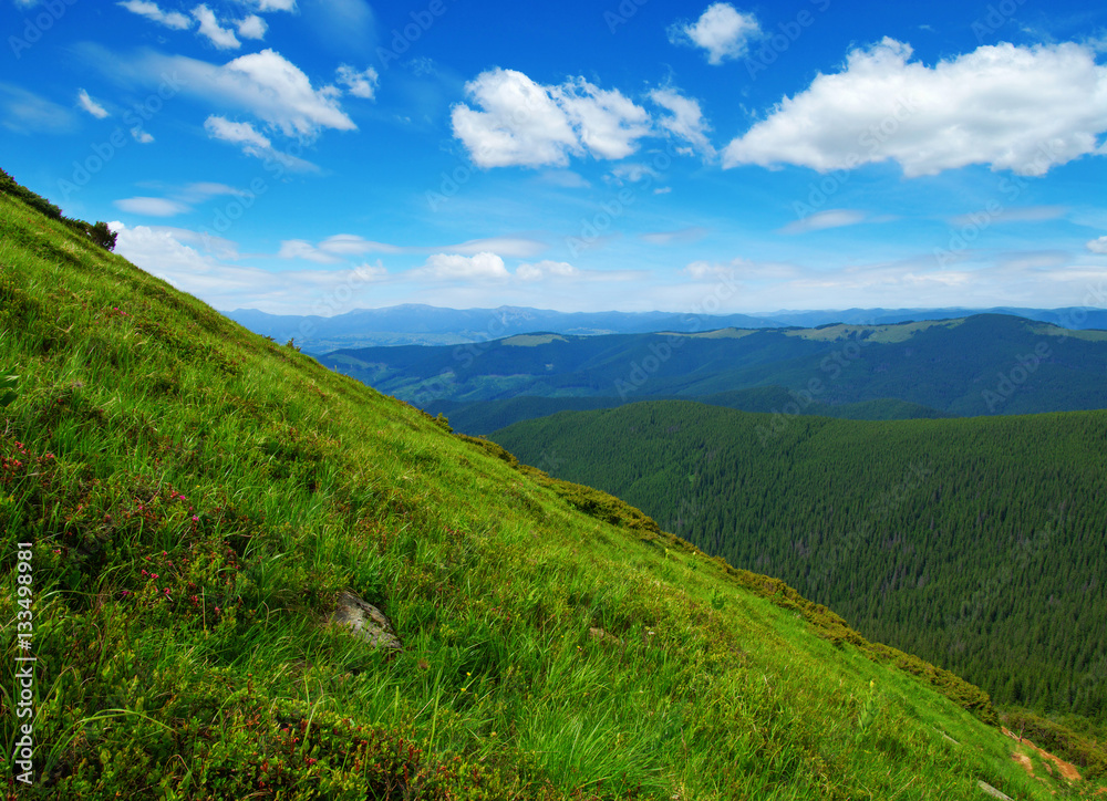 Mountain landscape in the summer