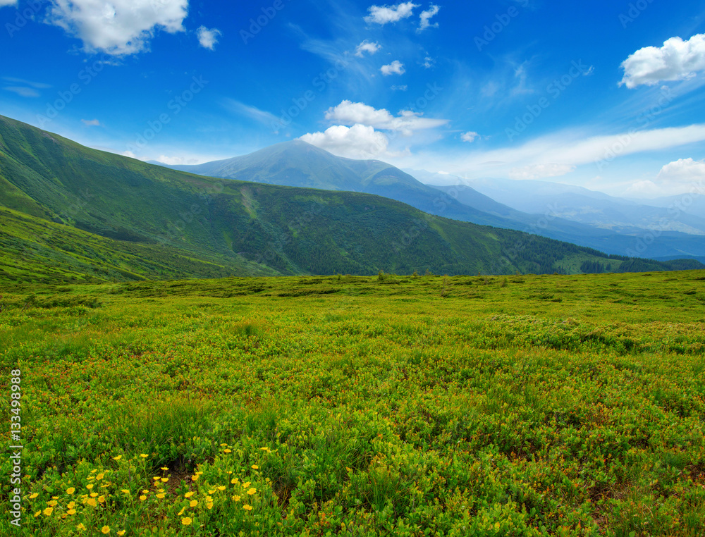 Mountain landscape in the summer