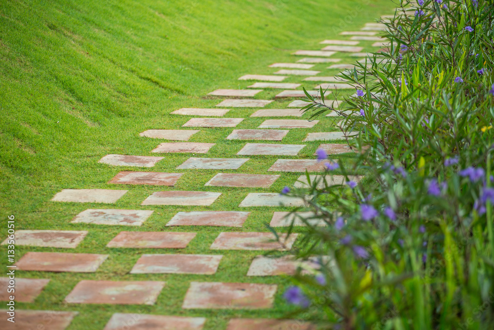 landscaping in the garden. The path in the garden