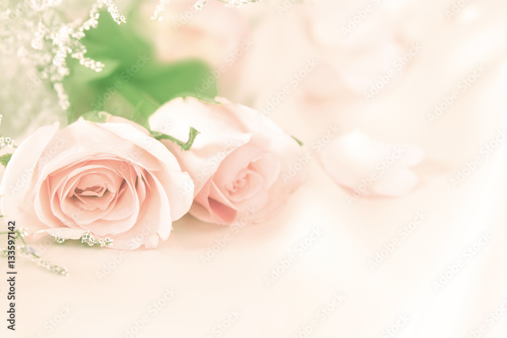 soft sweet rose flowers for love romance background