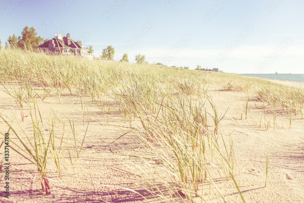 Dune grasses with beach house and lighthouse in the distance