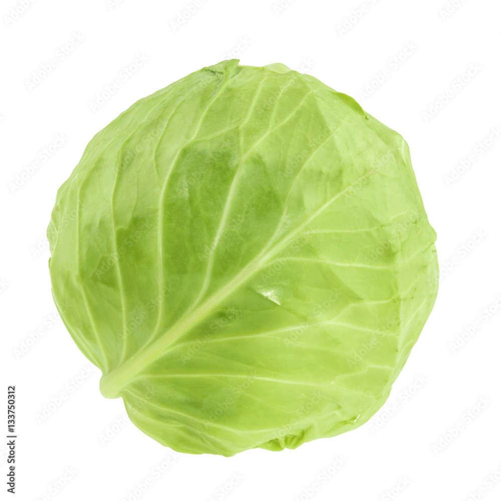 Green cabbage isolated on white background without shadow