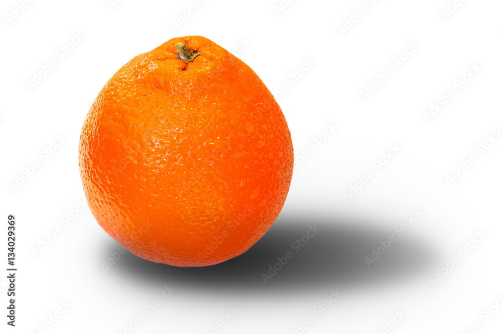 orange fruit over white with shadow