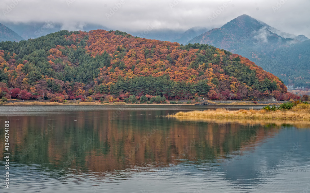 Autumn colour hill at lake Kawaguchiko, Japan.