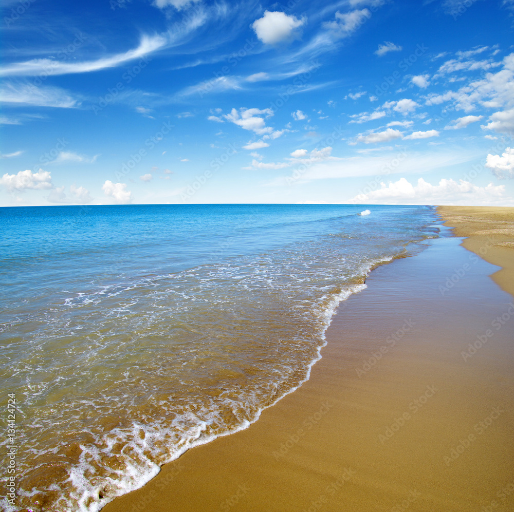 beach and sea