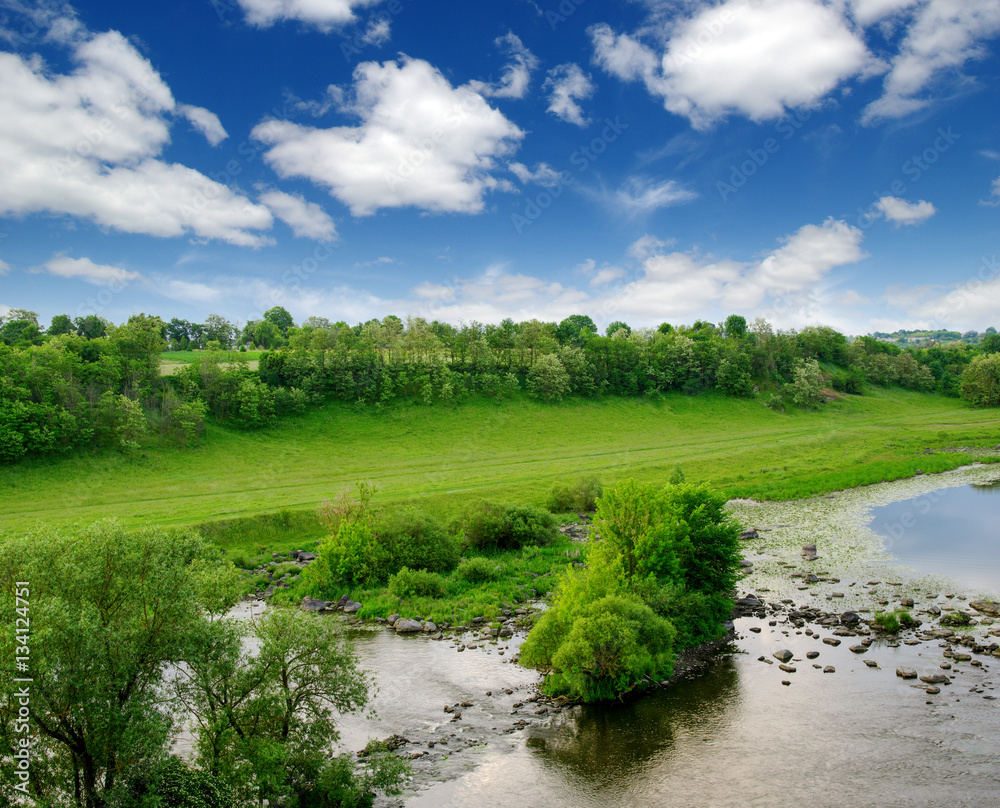  trees and a river