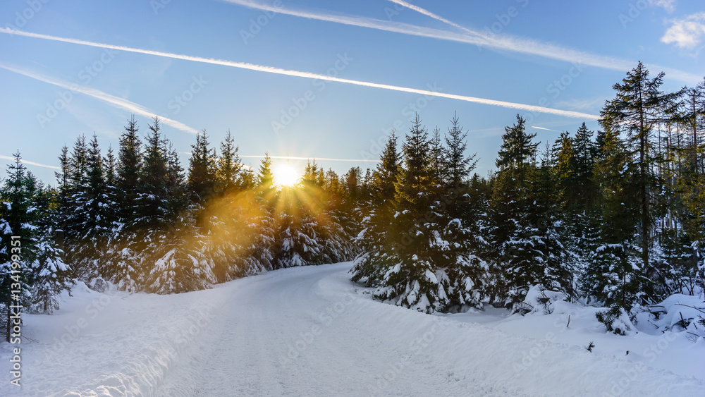 Sonniges Wintermärchenland