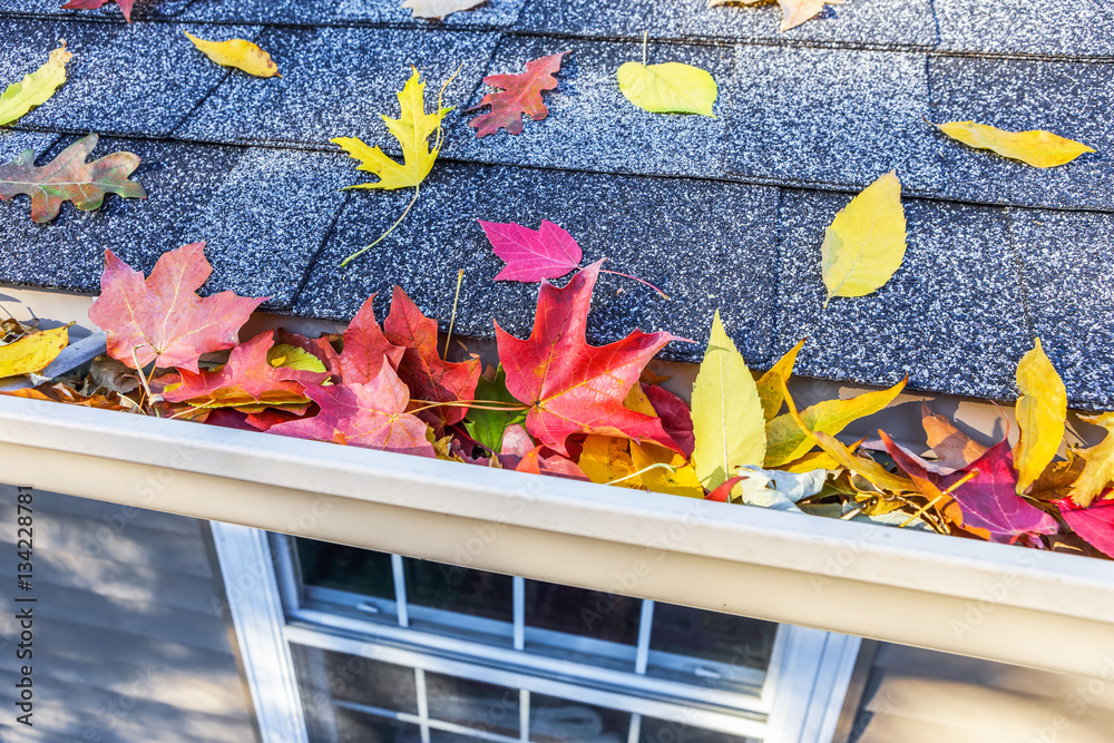 Colorful fall leaves in the gutter on a roof